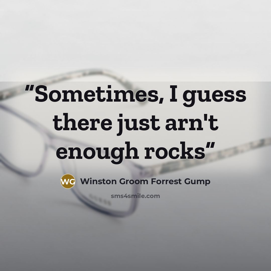 “Sometimes, I guess there just arn't enough rocks” quote by Winston Groom Forrest Gump