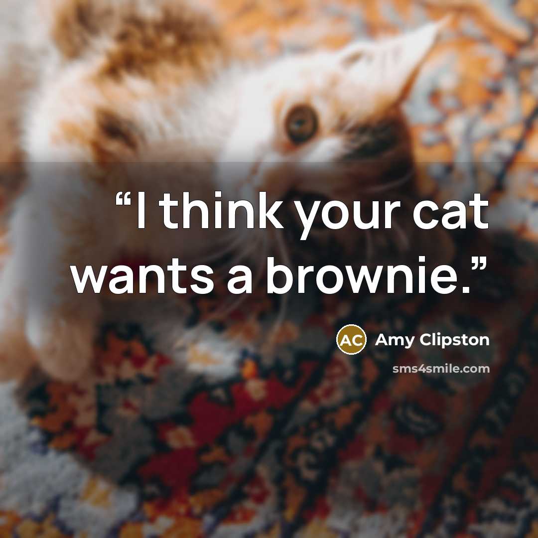 “I think your cat wants a brownie.” quote by Amy Clipston