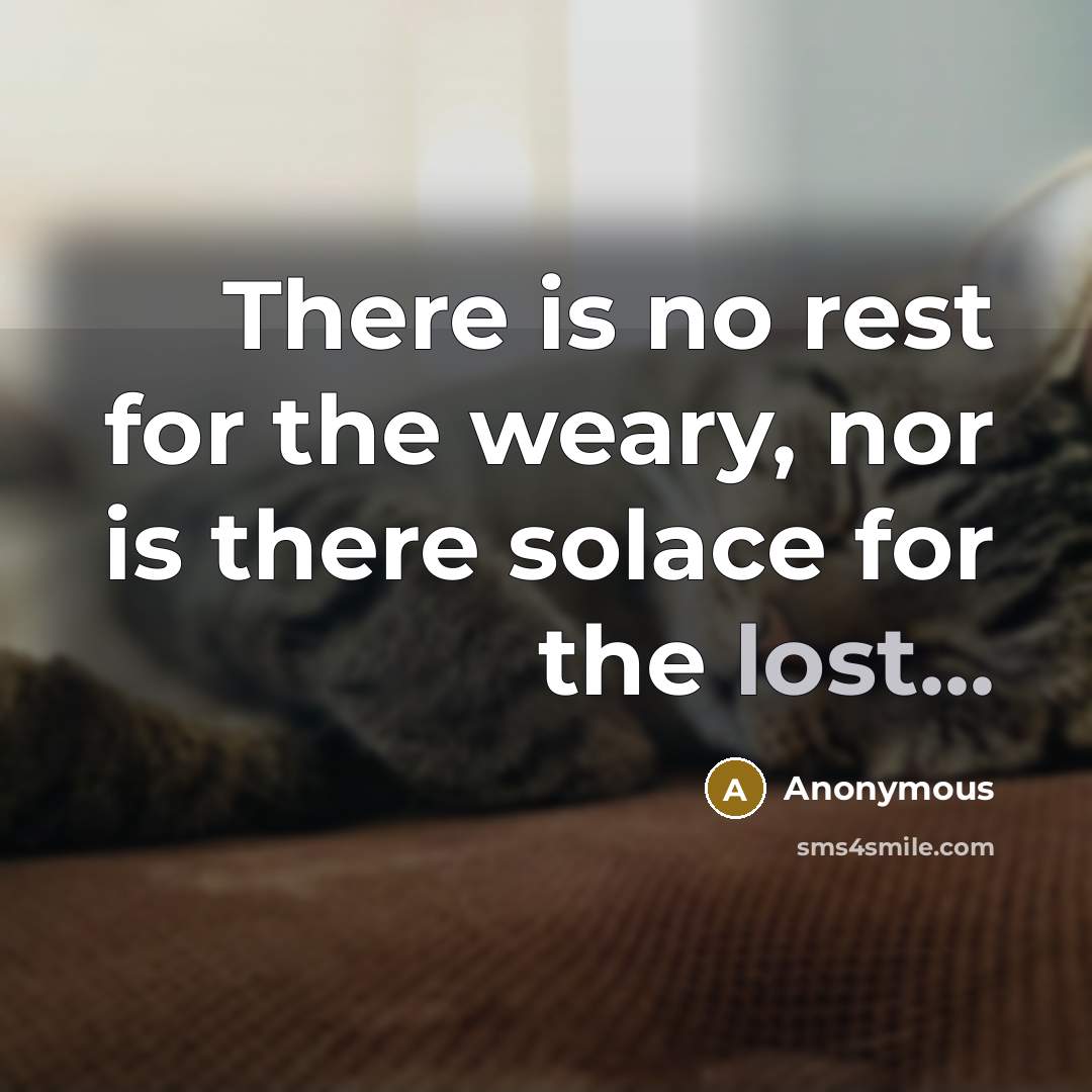 “There is no rest for the weary, nor is there…” quote by Anonymous