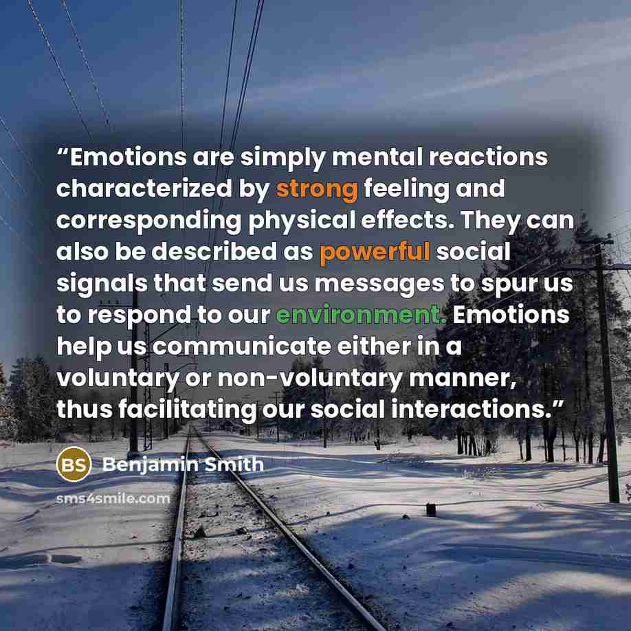 “Emotions are simply mental reactions characterized by strong feeling and corresponding physical effects. They can also be described as powerful social signals that send us messages to spur us to respond to our environment. Emotions help us communicate either in a voluntary or non-voluntary manner…” quote by Benjamin Smith