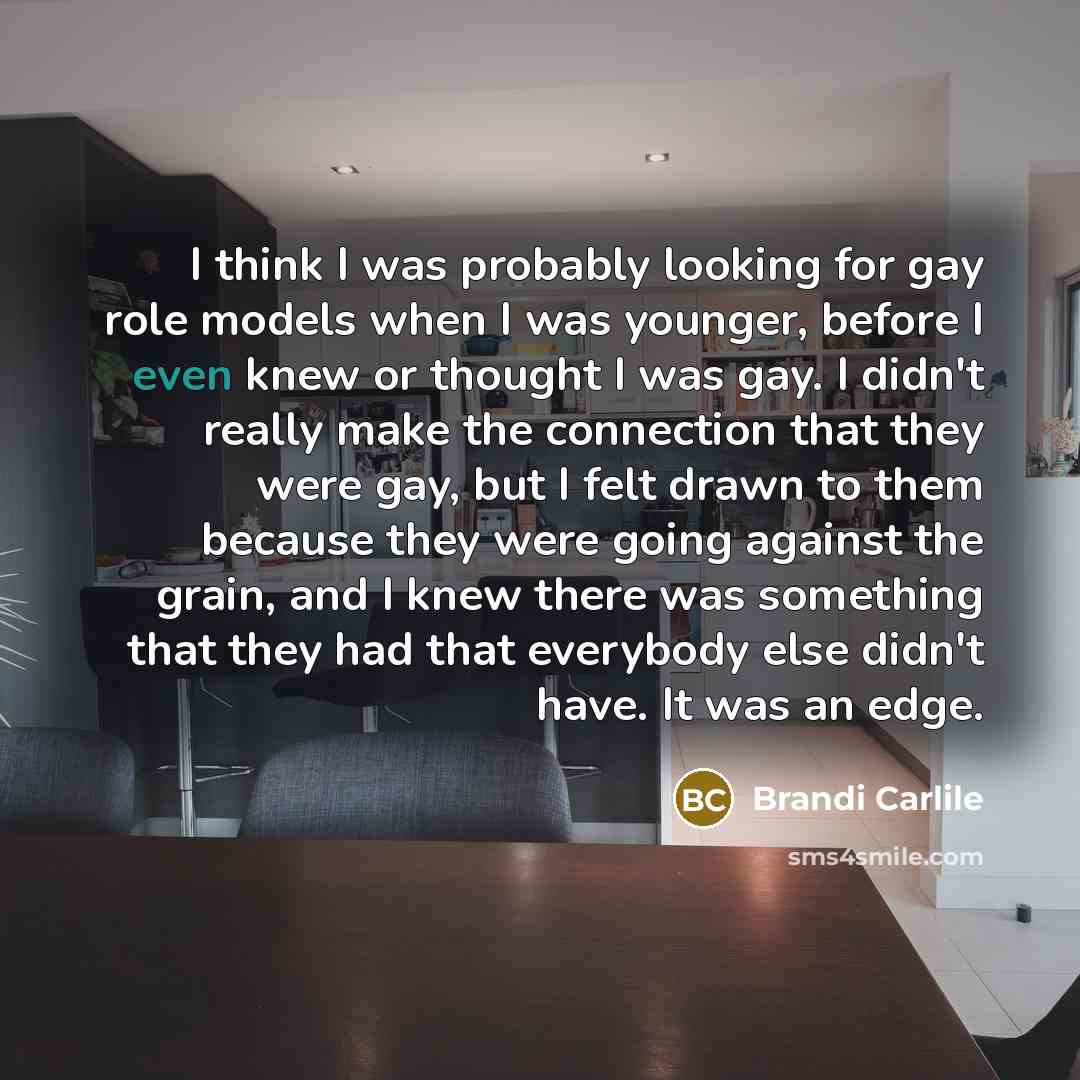 “I think I was probably looking for gay role models…” quote by Brandi Carlile