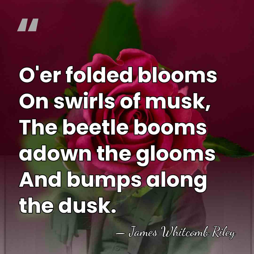 O'er folded blooms On swirls of musk, The beetle booms adown the&hellip; - James Whitcomb Riley