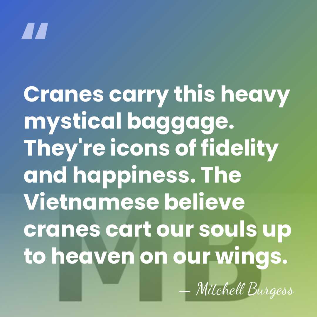 Cranes carry this heavy mystical baggage. They're icons of fidelity and happiness.&hellip; - Mitchell Burgess