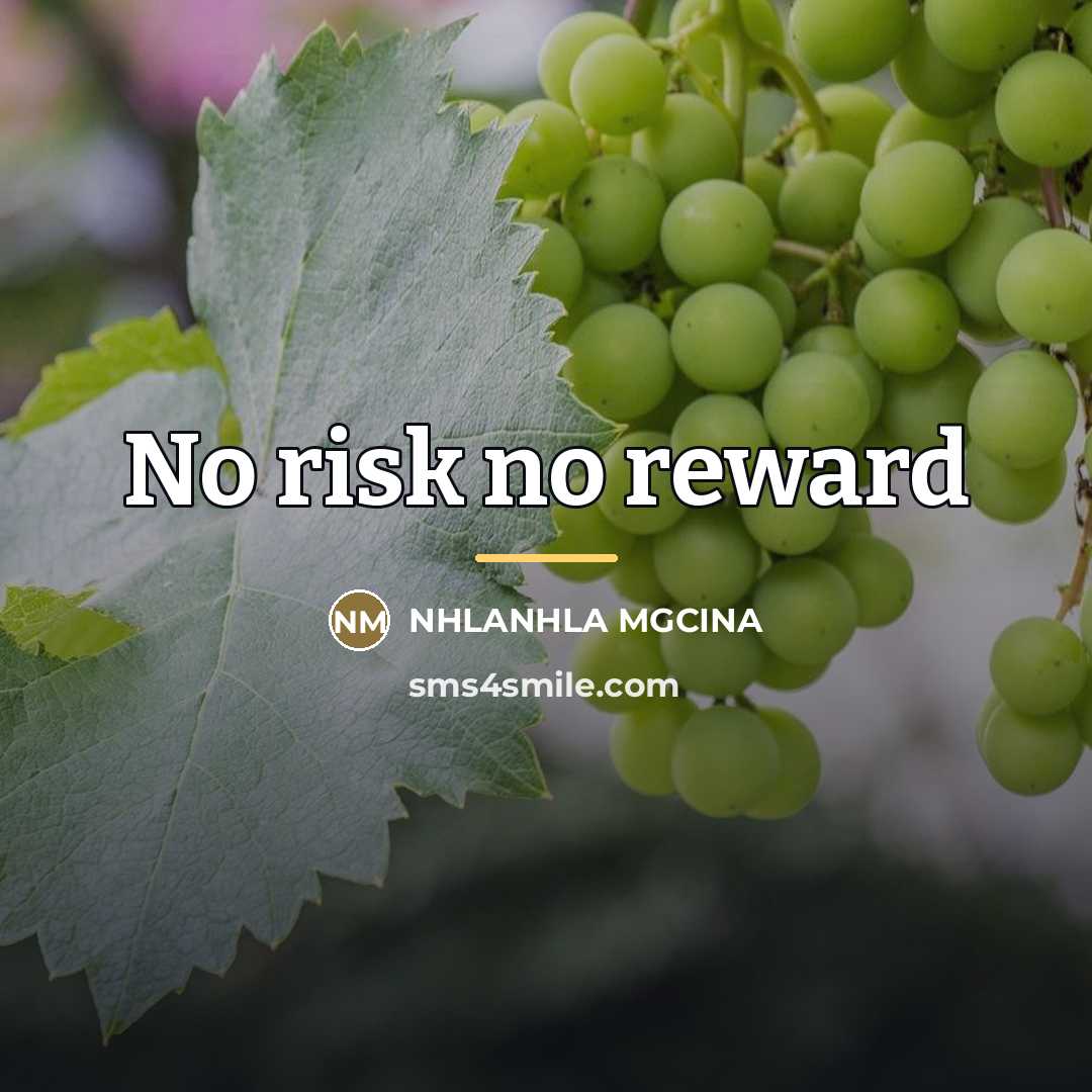 “No risk no reward…” quote by Nhlanhla Mgcina