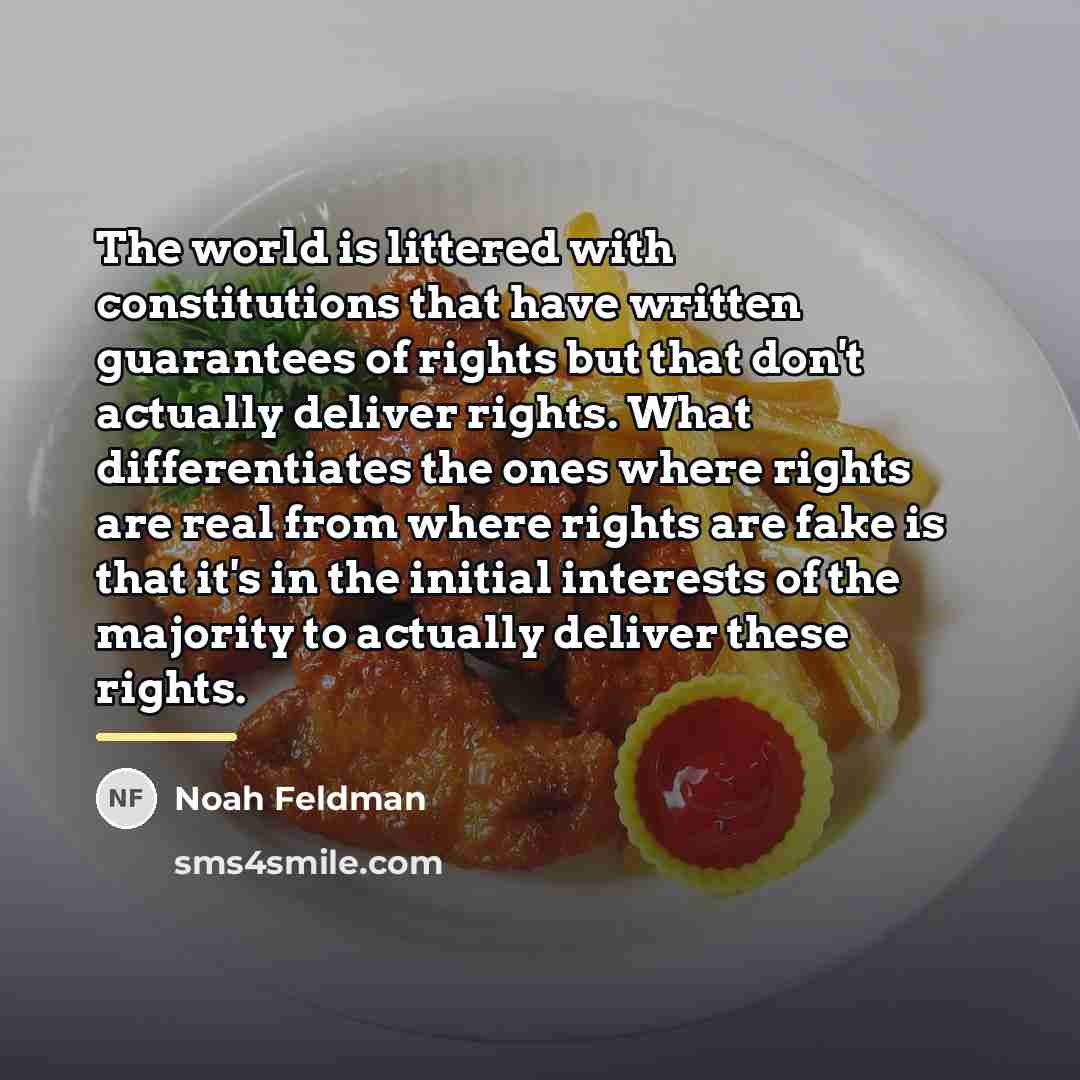 “The world is littered with constitutions that have written guarantees…” quote by Noah Feldman