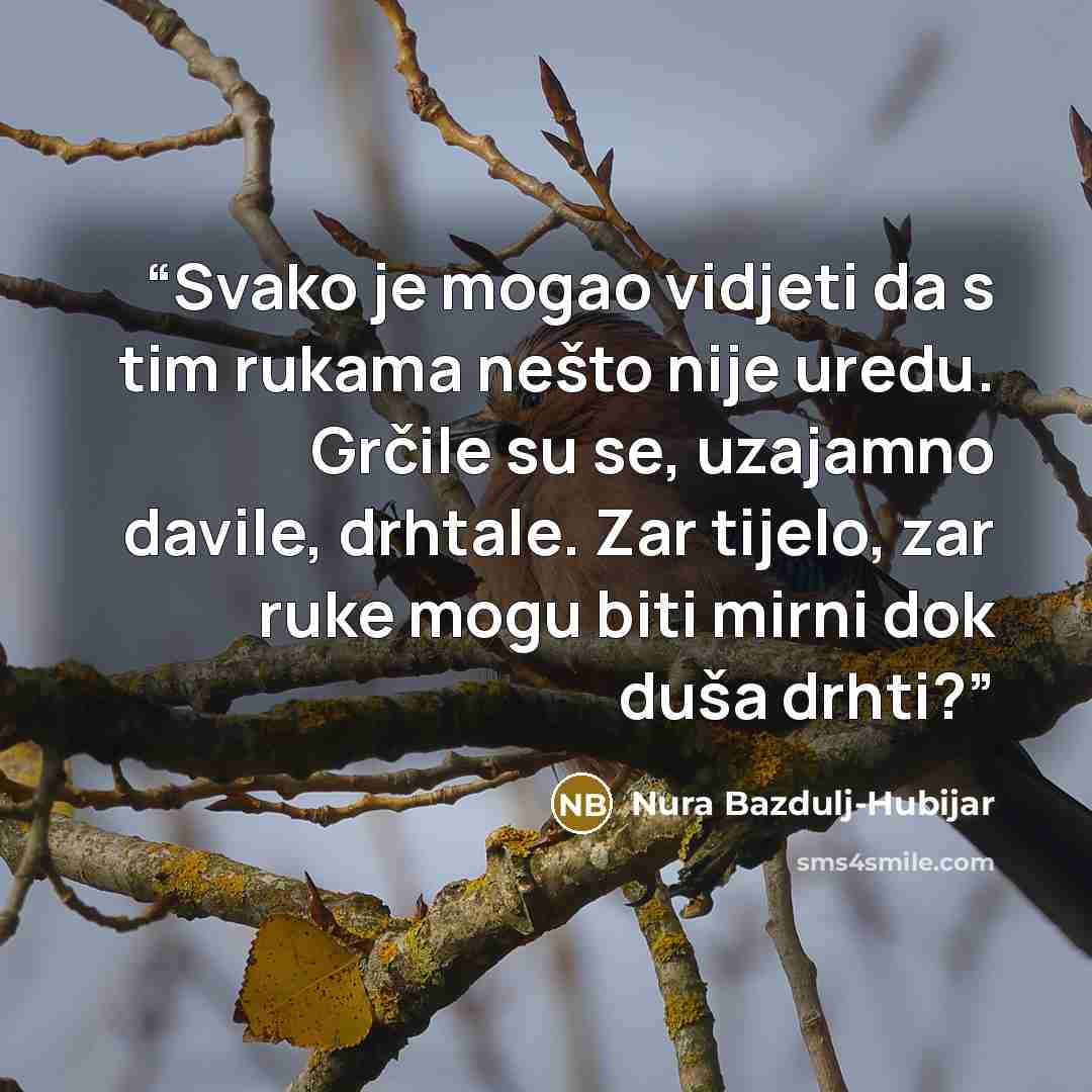 “Svako je mogao vidjeti da s tim rukama nešto nije uredu. Grčile su se, uzajamno davile, drhtale. Zar tijelo, zar ruke mogu biti mirni dok duša drhti?” quote by Nura Bazdulj-Hubijar