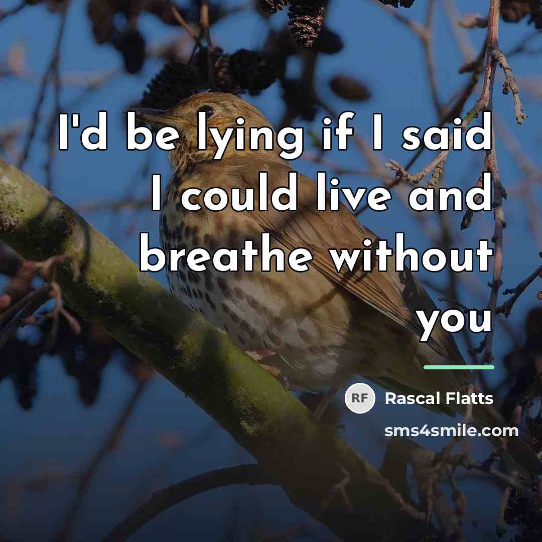 “I'd be lying if I said I could live and…” quote by Rascal Flatts
