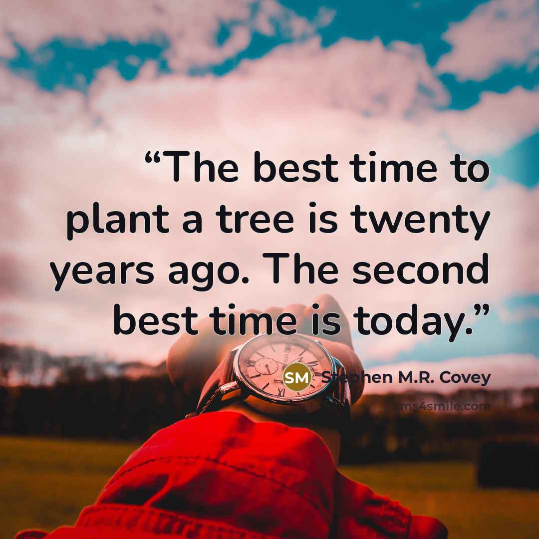 “The best time to plant a tree is twenty years ago. The second best time is today.” quote by Stephen M.R. Covey