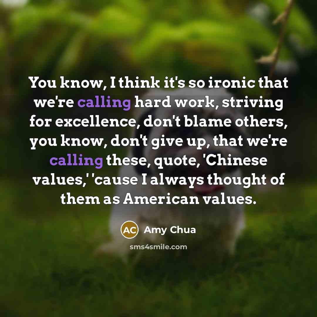 “You know, I think it's so ironic that we're calling…” quote by Amy Chua