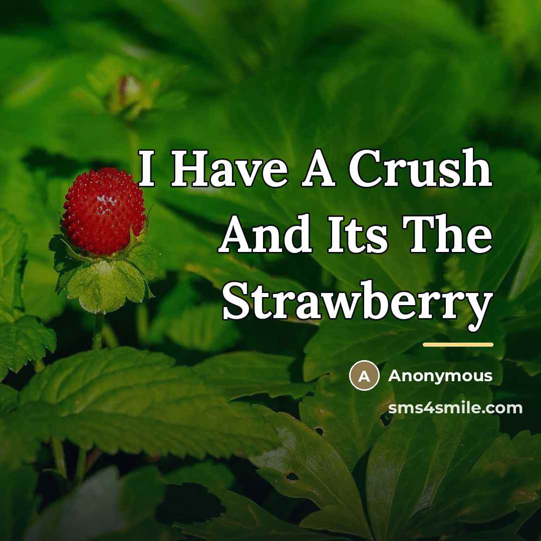 “I Have A Crush And Its The Strawberry…” quote by Anonymous