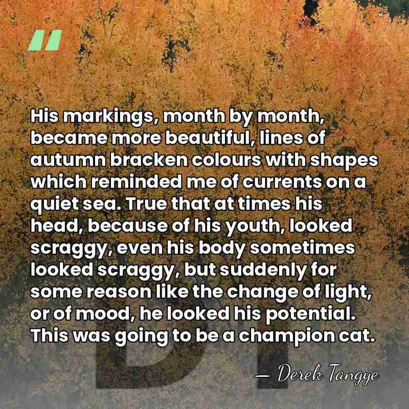 His markings, month by month, became more beautiful, lines of autumn bracken&hellip; - Derek Tangye