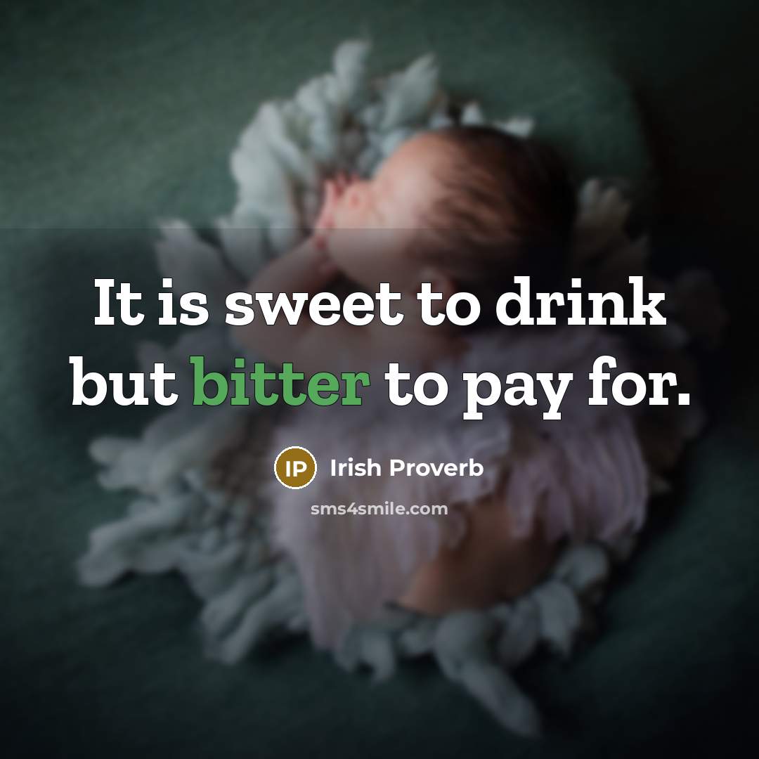“It is sweet to drink but bitter to pay for.” quote by Irish Proverb