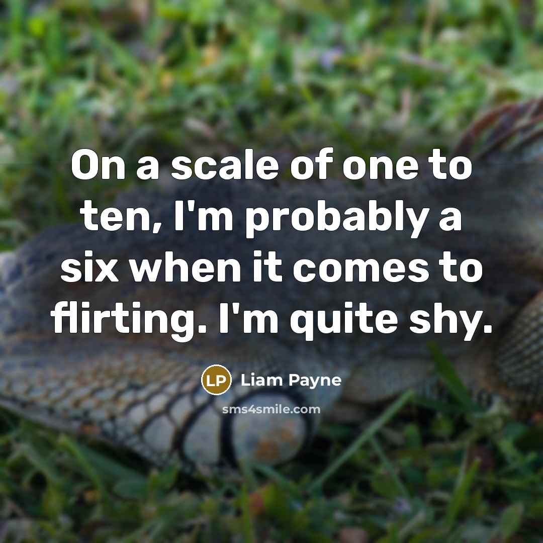 “On a scale of one to ten, I'm probably a…” quote by Liam Payne
