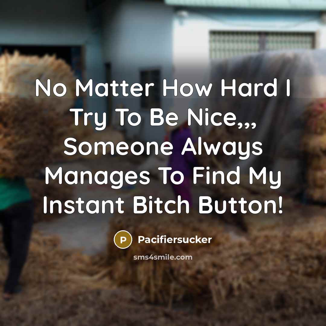 “No Matter How Hard I Try To Be Nice,,, Someone…” quote by Pacifiersucker