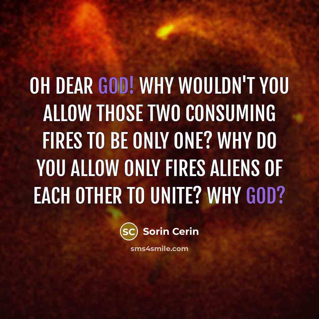“Oh Dear God! Why wouldn't you allow those two consuming…” quote by Sorin Cerin
