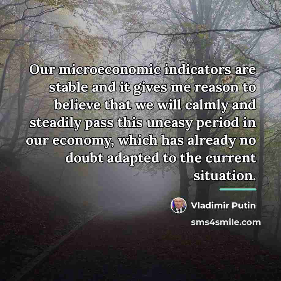 “Our microeconomic indicators are stable and it gives me reason…” quote by Vladimir Putin