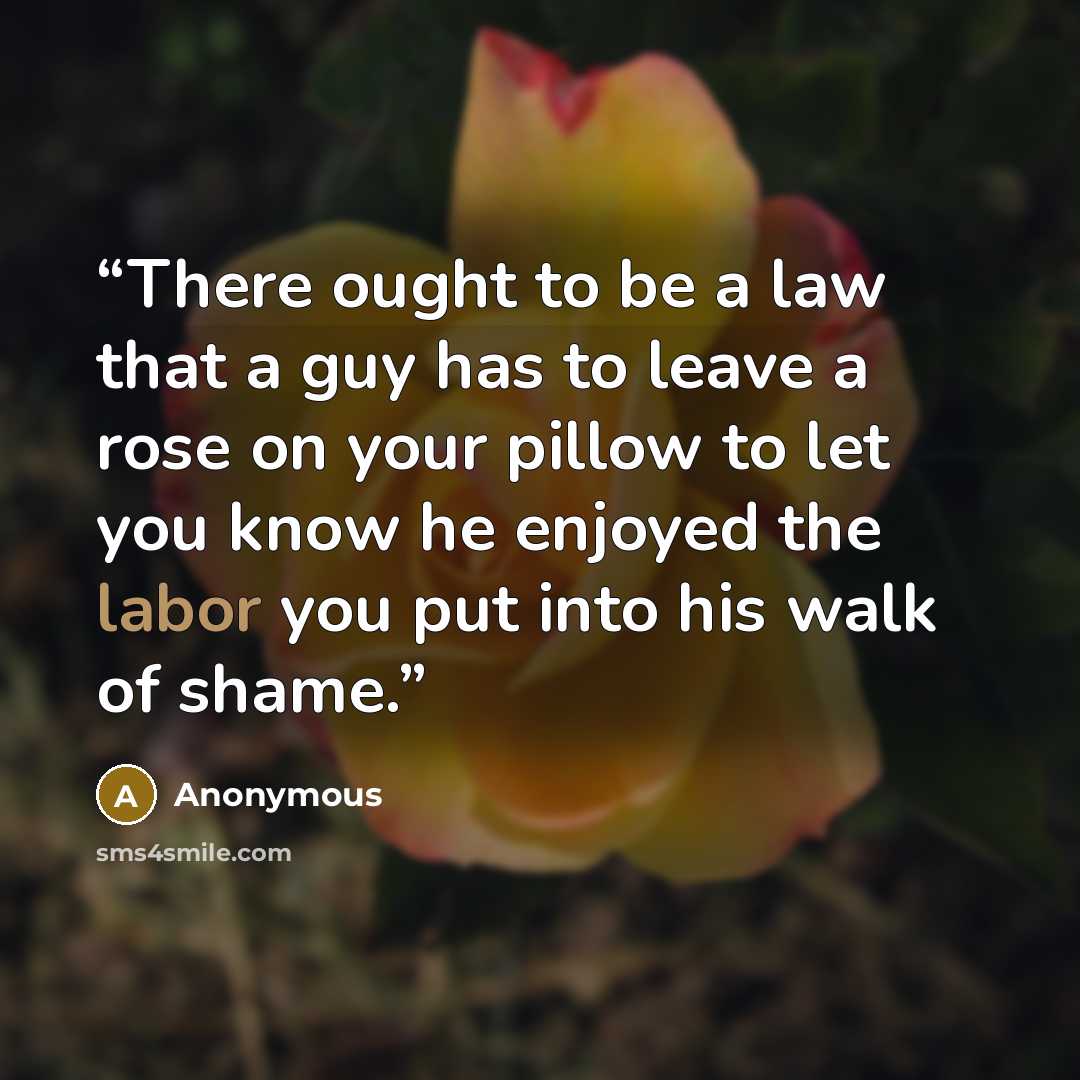 “There ought to be a law that a guy has to leave a rose on your pillow to let you know he enjoyed the labor you put into his walk of shame.” quote by Anonymous