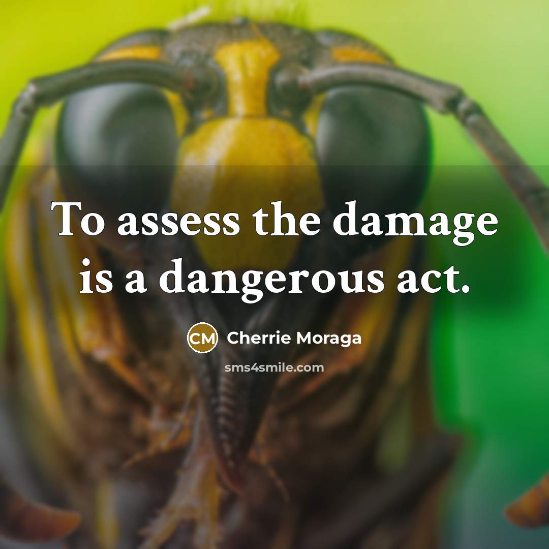 “To assess the damage is a dangerous act.…” quote by Cherrie Moraga