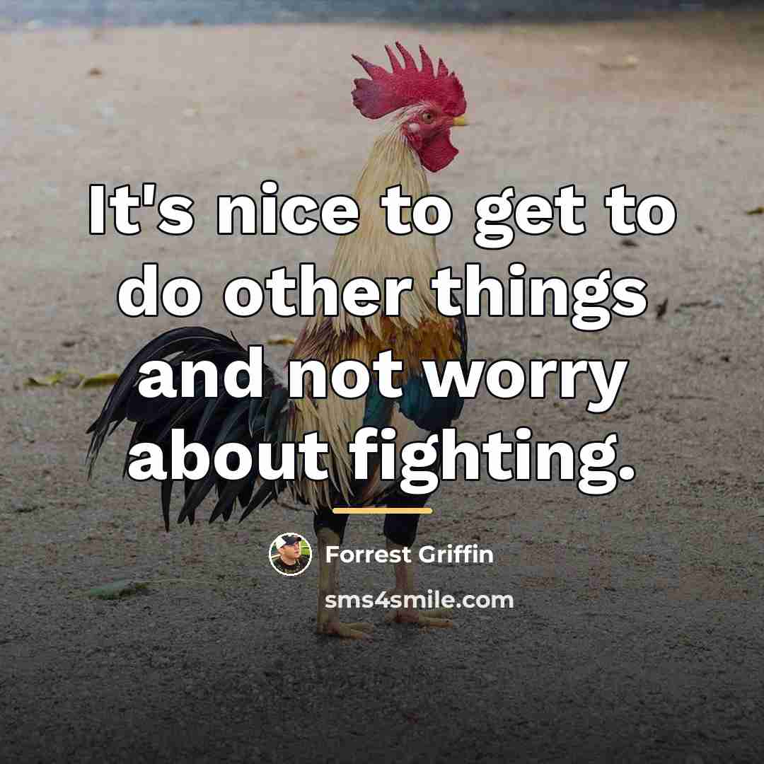 “It's nice to get to do other things and not…” quote by Forrest Griffin