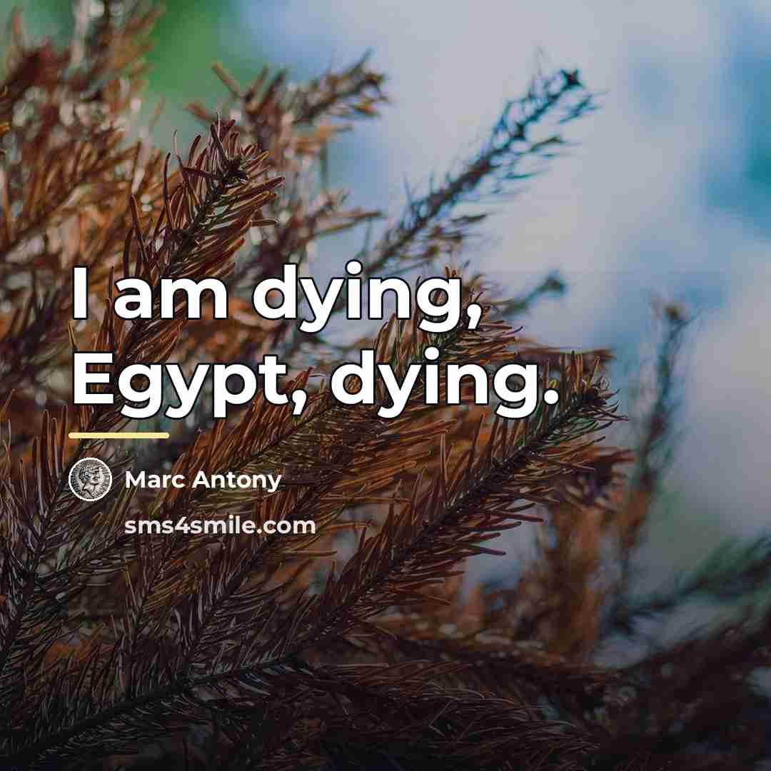 “I am dying, Egypt, dying.…” quote by Marc Antony