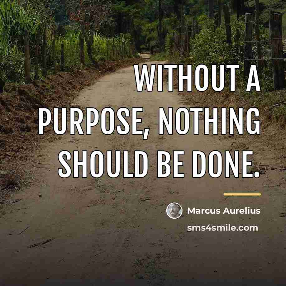“Without a purpose, nothing should be done.…” quote by Marcus Aurelius