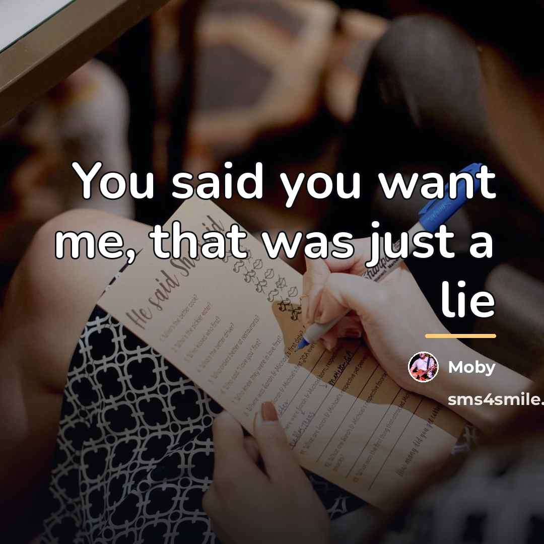 “You said you want me, that was just a lie…” quote by Moby
