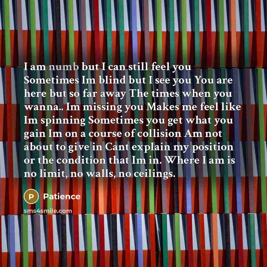 “I am numb but I can still feel you Sometimes Im blind but I see you You are here but so far away The times when you wanna.. Im missing you Makes me feel like Im spinning Sometimes you get what you gain Im on a course of collision Am not about to give in Cant explain my position or the condition…” quote by Patience