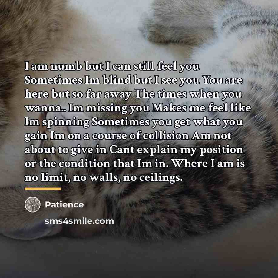 “I am numb but I can still feel you Sometimes…” quote by Patience