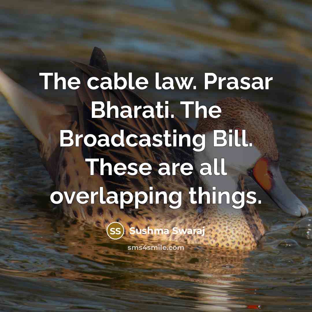 “The cable law. Prasar Bharati. The Broadcasting Bill. These are…” quote by Sushma Swaraj