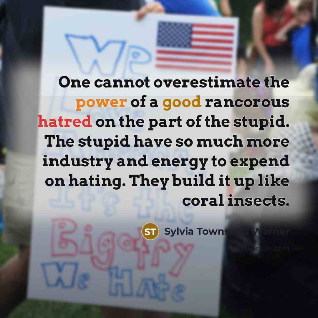 “One cannot overestimate the power of a good rancorous hatred…” quote by Sylvia Townsend Warner