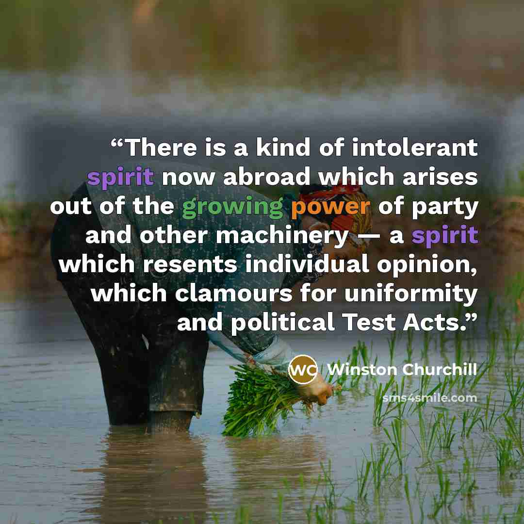 “There is a kind of intolerant spirit now abroad which arises out of the growing power of party and other machinery — a spirit which resents individual opinion, which clamours for uniformity and political Test Acts.” quote by Winston Churchill