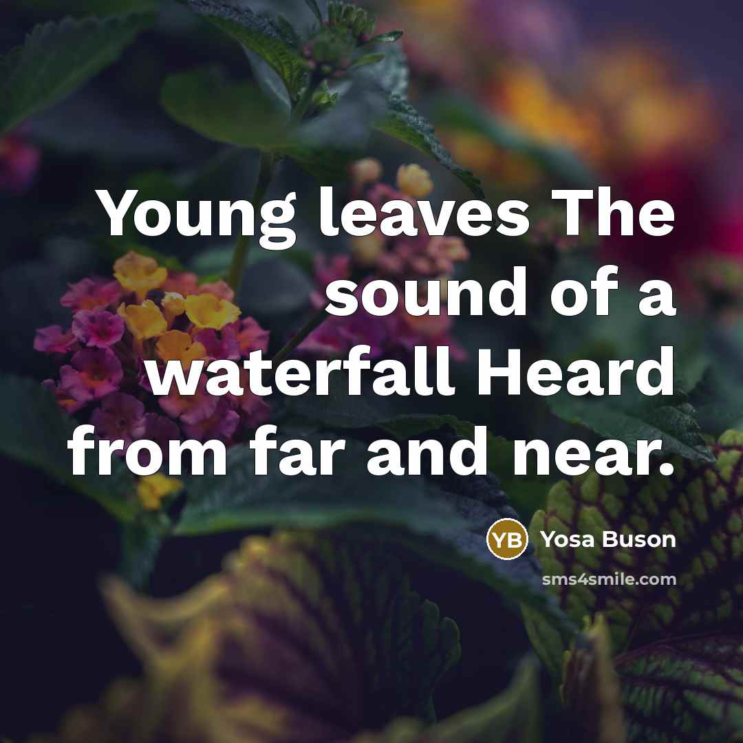 “Young leaves The sound of a waterfall Heard from far…” quote by Yosa Buson