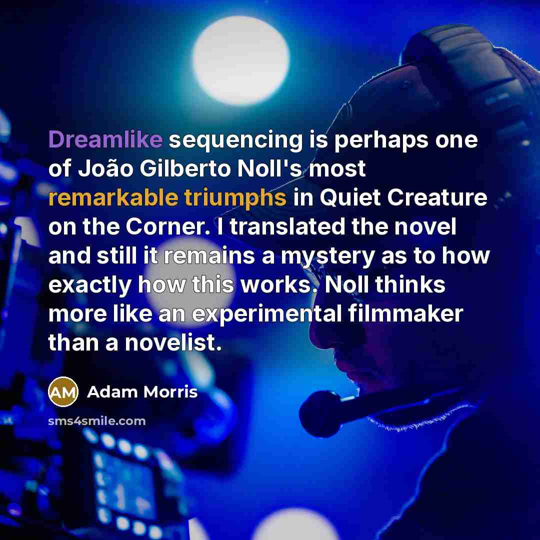 “Dreamlike sequencing is perhaps one of João Gilberto Noll's most remarkable triumphs in Quiet Creature on the Corner. I translated the novel and still it remains a mystery as to how exactly how this works. Noll thinks more like an experimental filmmaker than a novelist.” quote by Adam Morris
