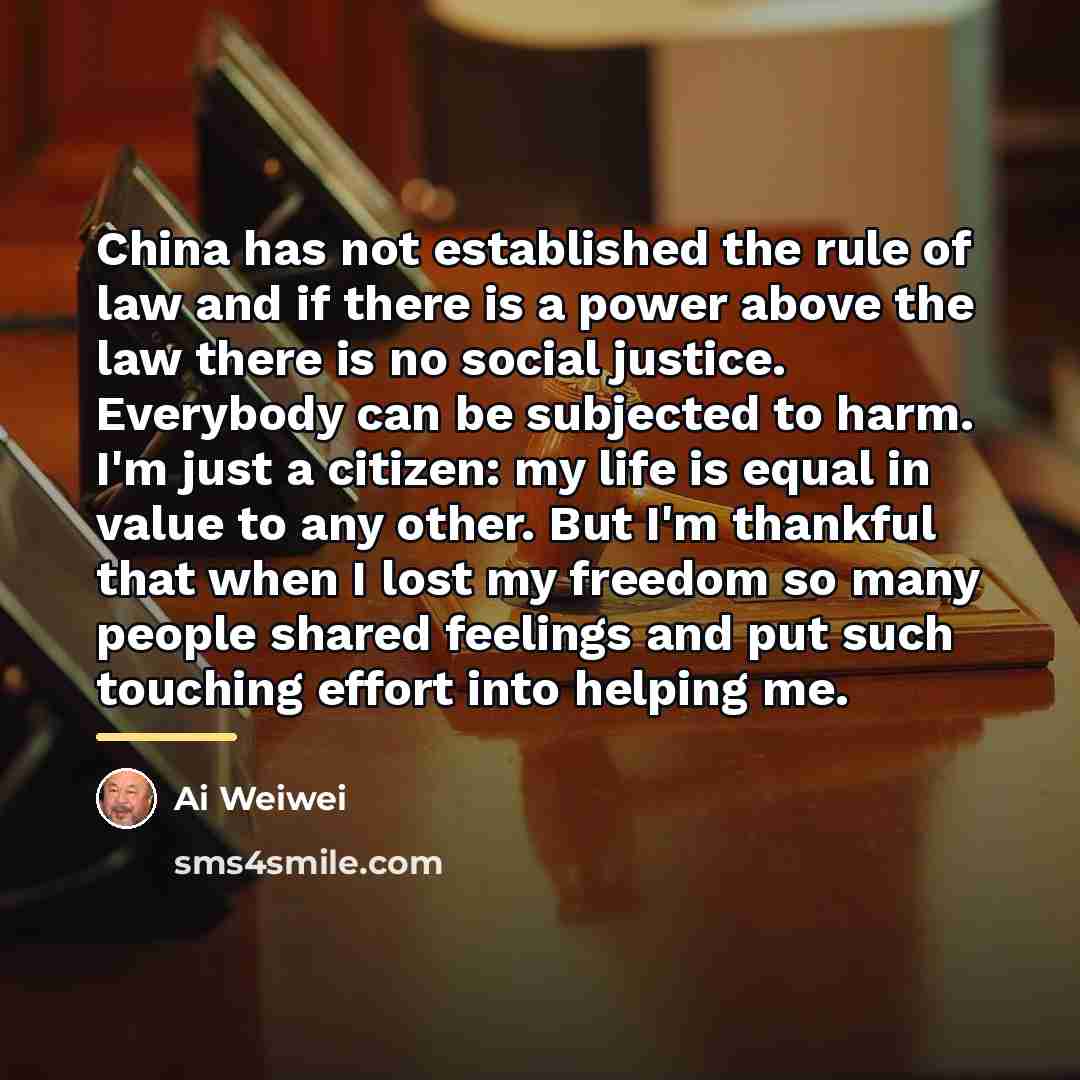 “China has not established the rule of law and if…” quote by Ai Weiwei