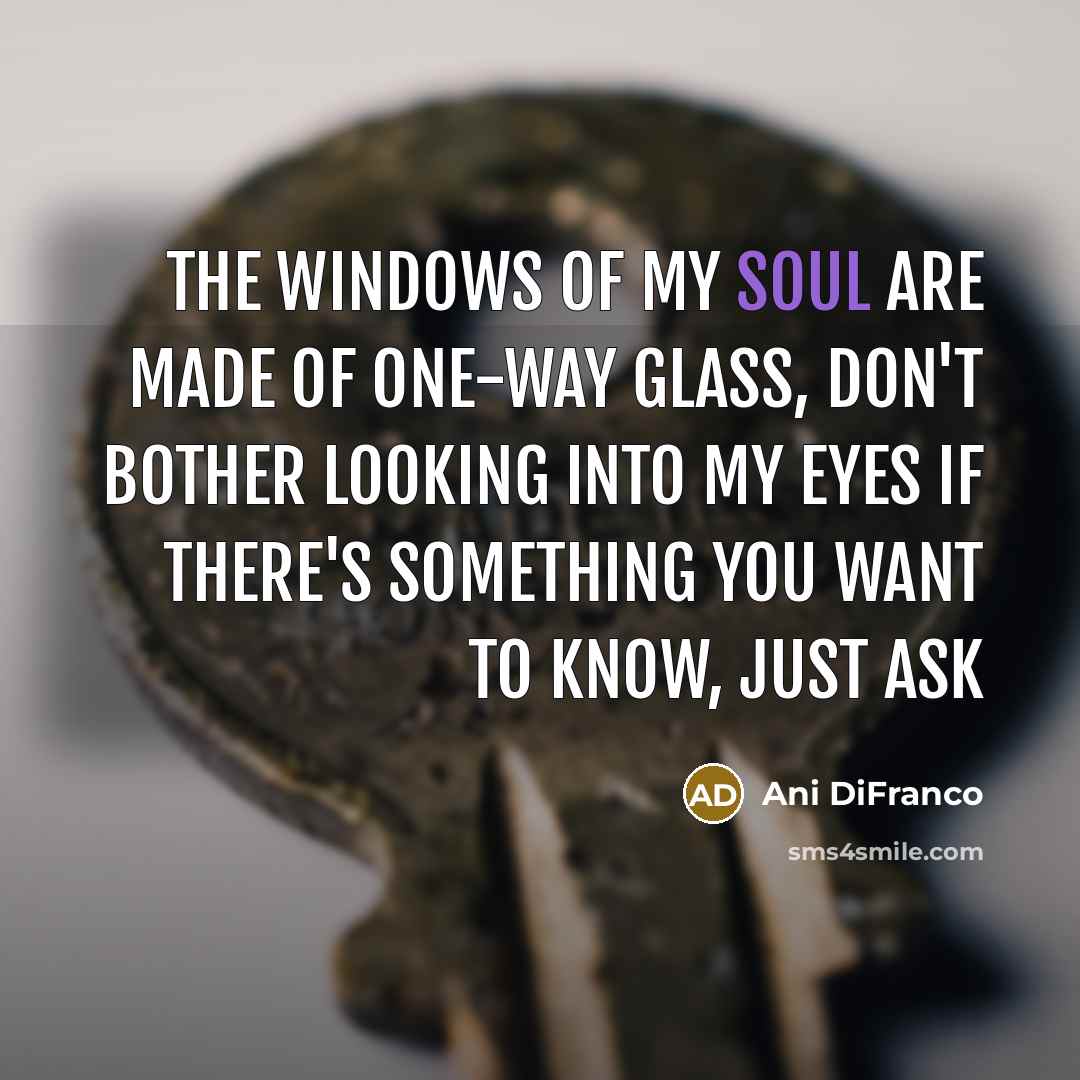 “The windows of my soul are made of one-way glass,…” quote by Ani DiFranco