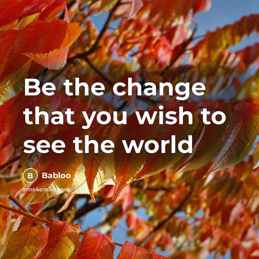 “Be the change that you wish to see the world…” quote by Babloo