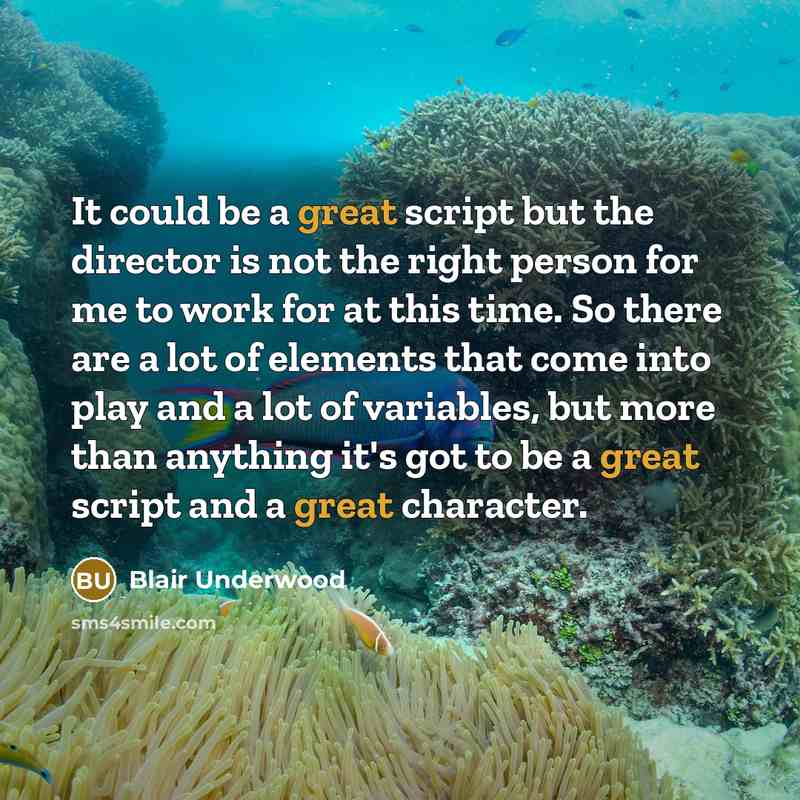 “It could be a great script but the director is…” quote by Blair Underwood