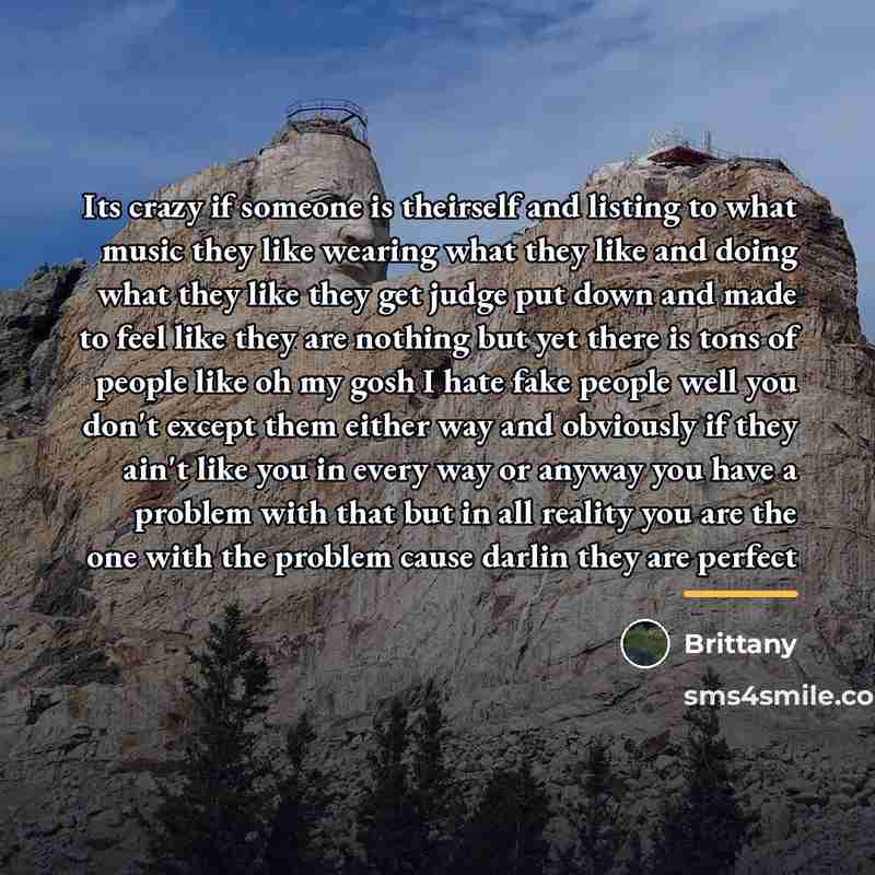 “Its crazy if someone is theirself and listing to what…” quote by Brittany