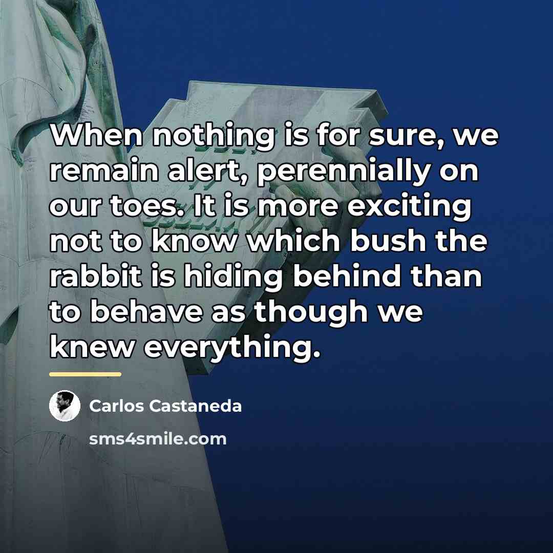 “When nothing is for sure, we remain alert, perennially on…” quote by Carlos Castaneda