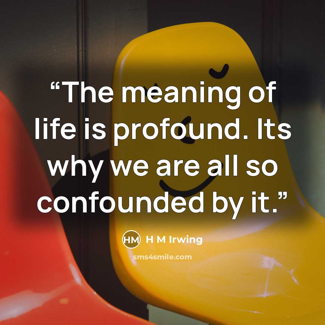 “The meaning of life is profound. Its why we are all so confounded by it.” quote by H M Irwing