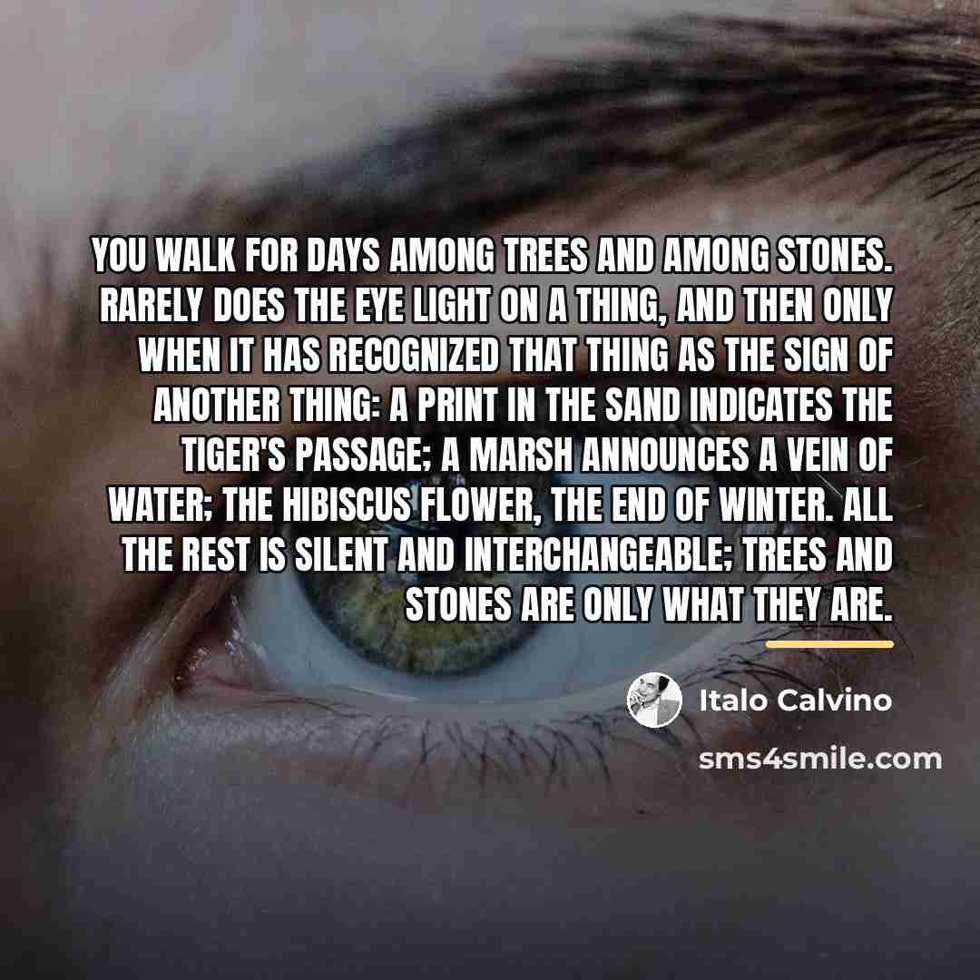 “You walk for days among trees and among stones. Rarely…” quote by Italo Calvino