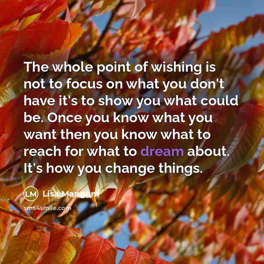 “The whole point of wishing is not to focus on…” quote by Lisa Mangum