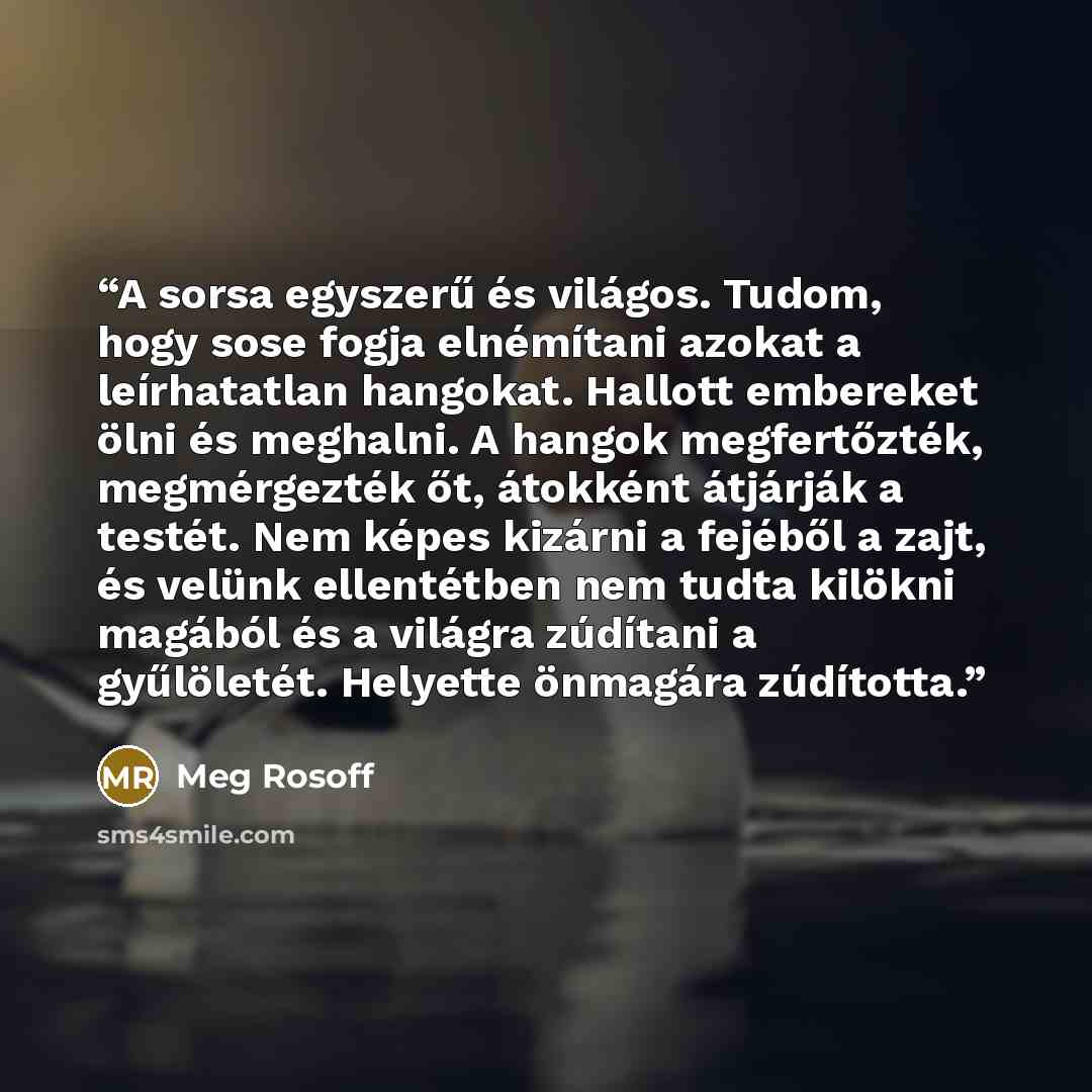 “A sorsa egyszerű és világos. Tudom, hogy sose fogja elnémítani azokat a leírhatatlan hangokat. Hallott embereket ölni és meghalni. A hangok megfertőzték, megmérgezték őt, átokként átjárják a testét. Nem képes kizárni a fejéből a zajt, és velünk ellentétben nem tudta kilökni magából és a világra…” quote by Meg Rosoff