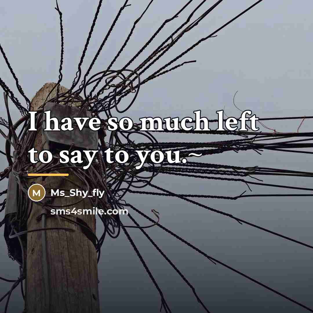 “I have so much left to say to you.~…” quote by Ms_Shy_fly