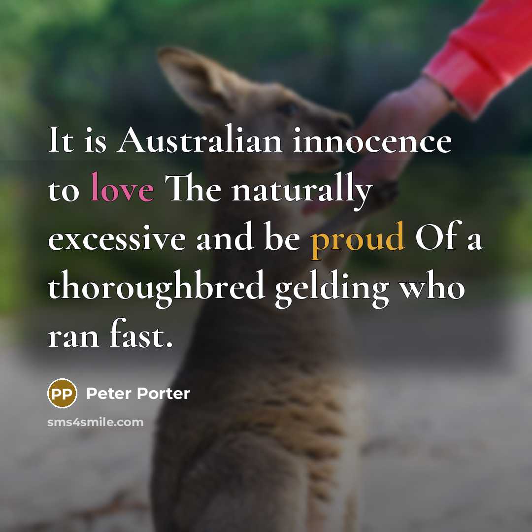 “It is Australian innocence to love The naturally excessive and…” quote by Peter Porter