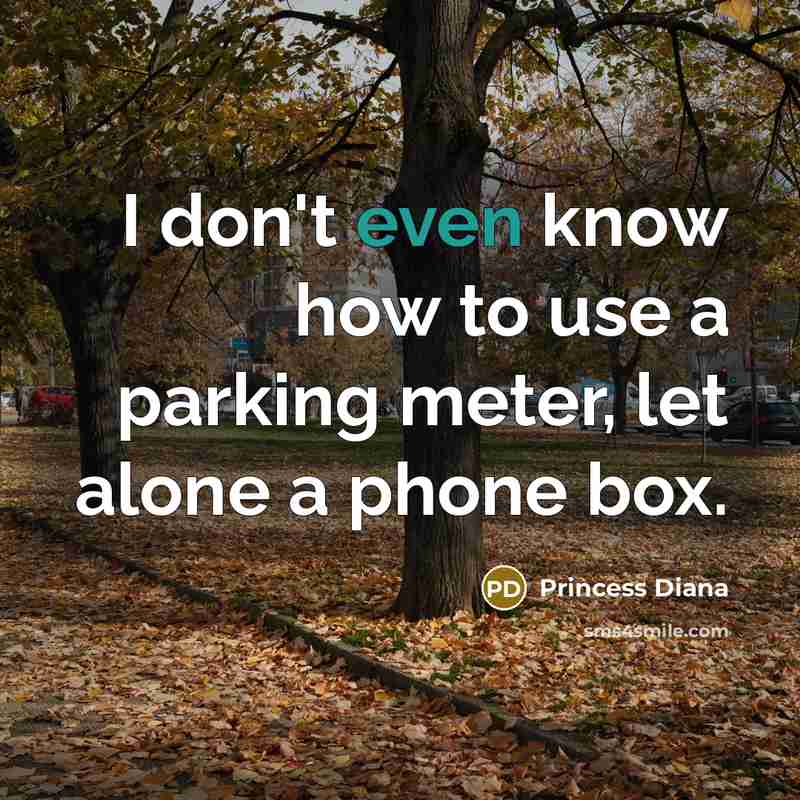“I don't even know how to use a parking meter,…” quote by Princess Diana