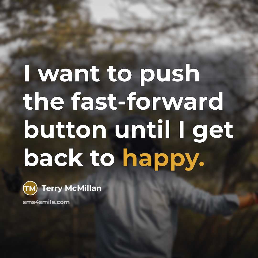“I want to push the fast-forward button until I get…” quote by Terry McMillan