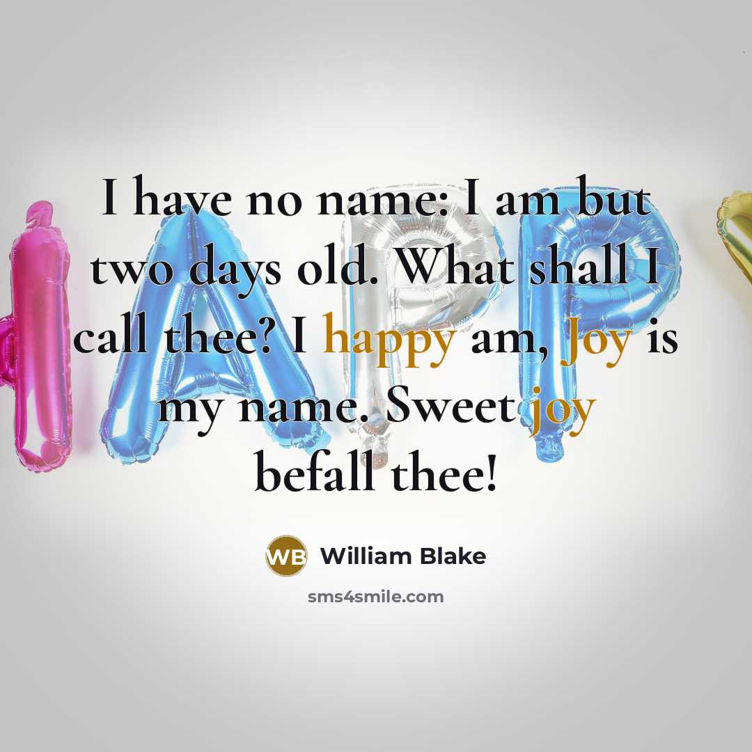 “I have no name: I am but two days old. What shall I call thee? I happy am, Joy is my name. Sweet joy befall thee!” quote by William Blake