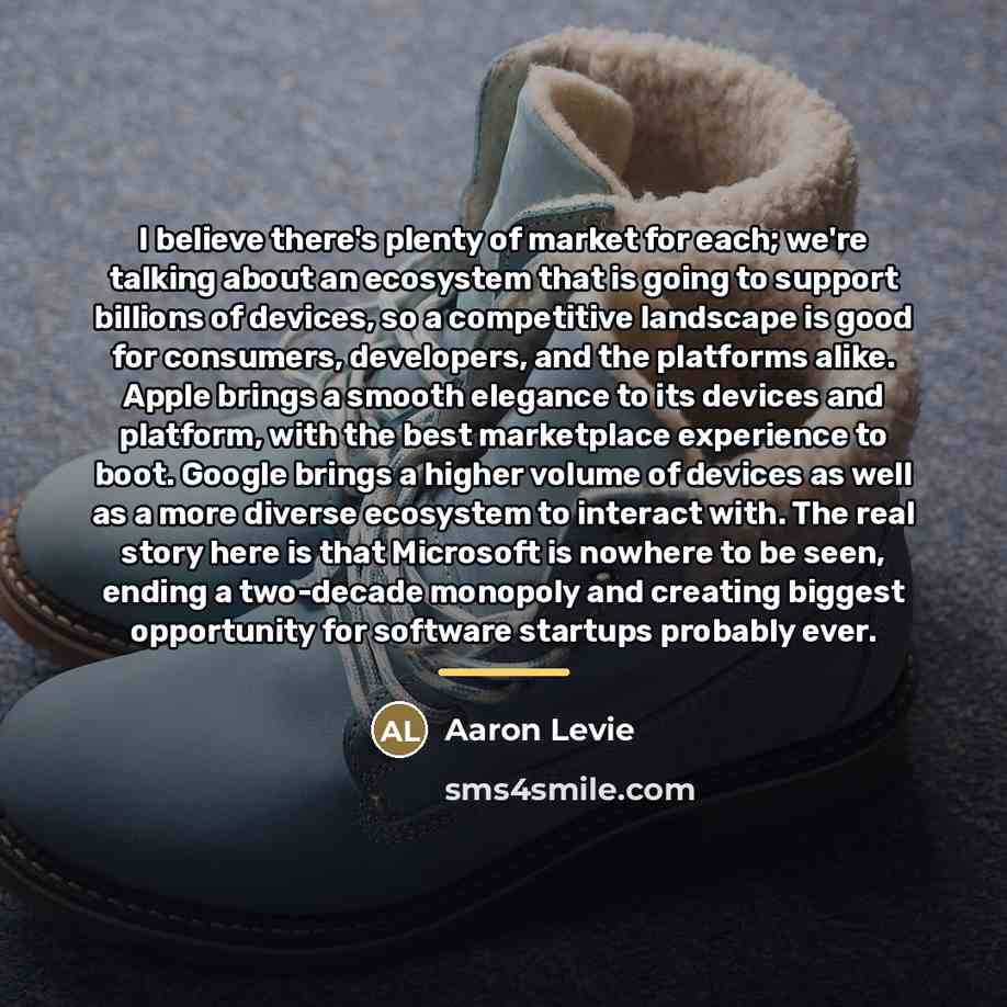 “I believe there's plenty of market for each; we're talking…” quote by Aaron Levie