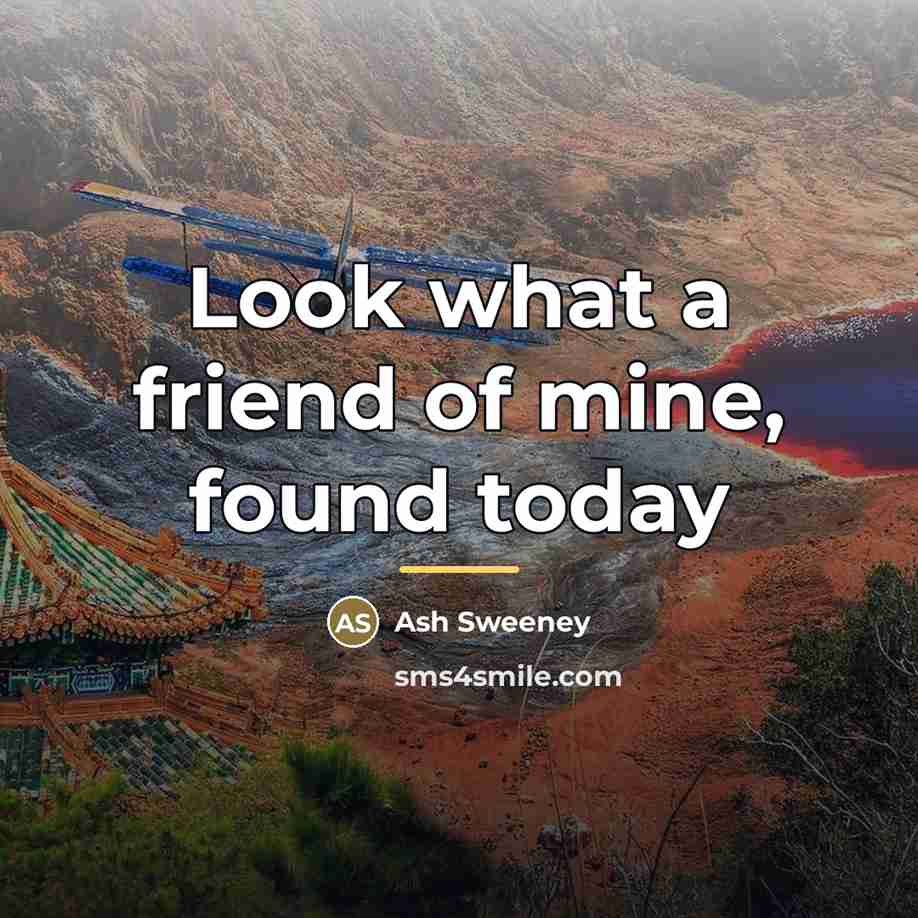“Look what a friend of mine, found today…” quote by Ash Sweeney